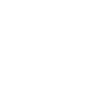 icon cyber security