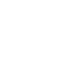 icon cyber security