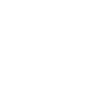 icon cyber security
